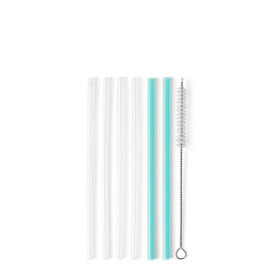 Clear + Aqua Reusable Straw Set (Short)